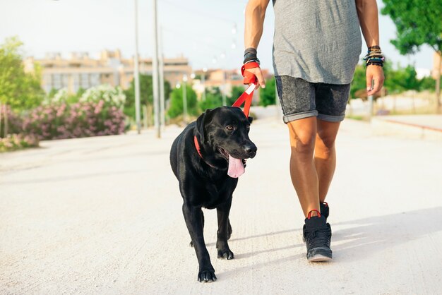 Guide to Fitness for You and Your Dog